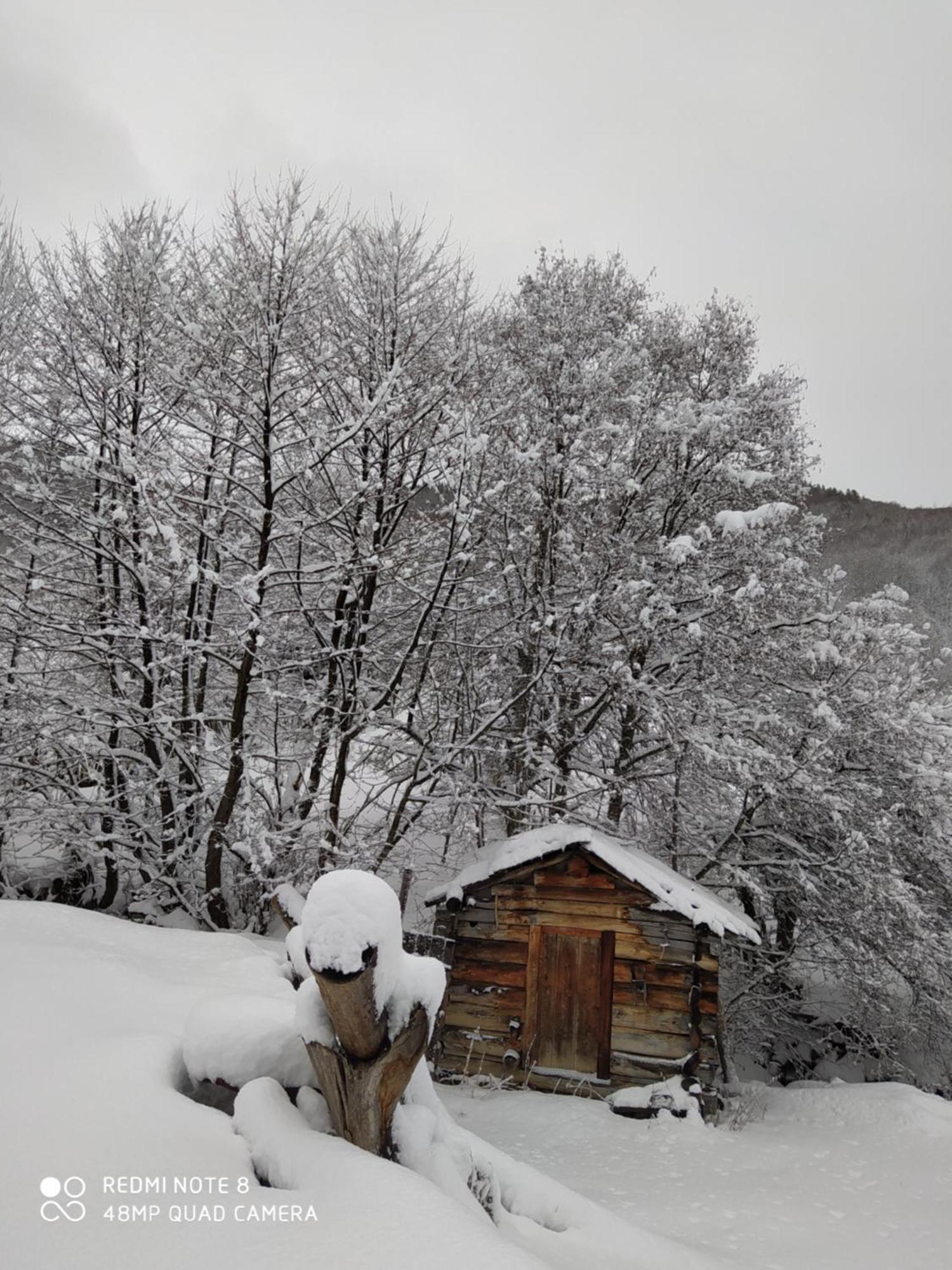 Gujejiani Guest House Μέστια Εξωτερικό φωτογραφία
